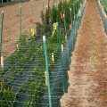 PE flor de trellis escalada de alta resistencia a la tracción verde flor de apoyo